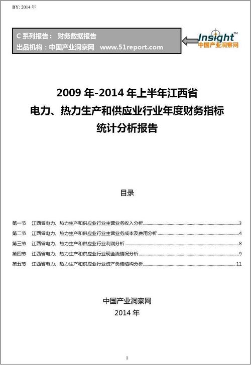 2009-2013年江西省热力生产和供应行业经营状况分析年报